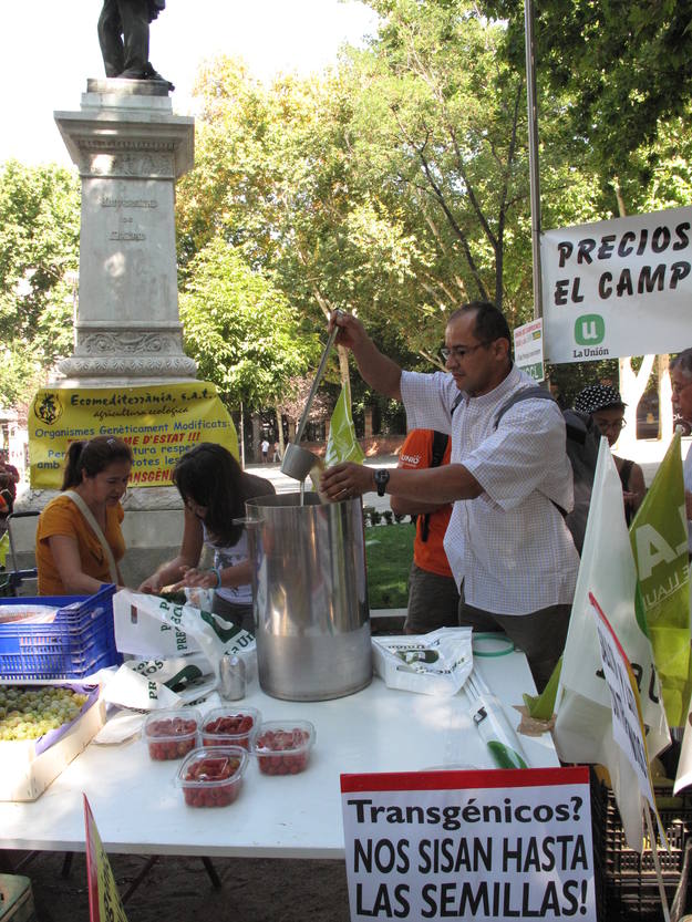 Lucha contra los transg&eacute;nicos