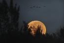 La luna llena brilla en Johannesburgo, Sudáfrica.