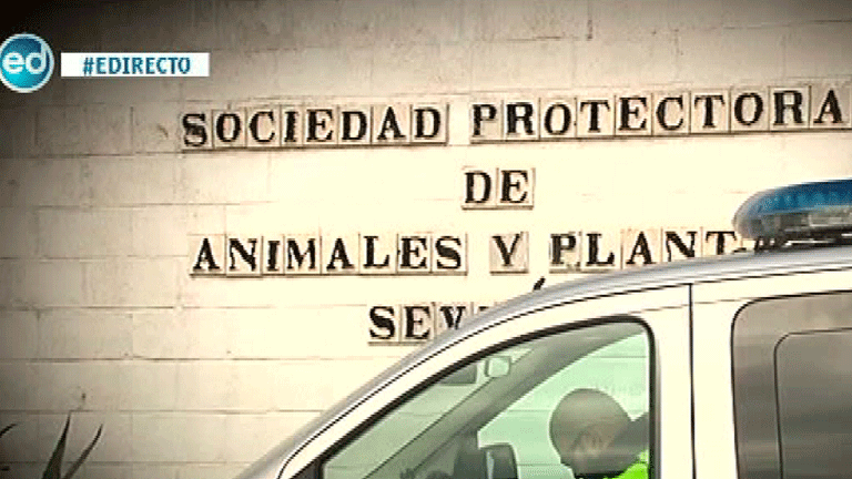 España Directo- Maltrato animal en una perrera