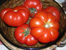 La ma&ntilde;ana de La 1 - Tomates, de Noelia