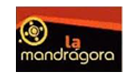 La mandrágora