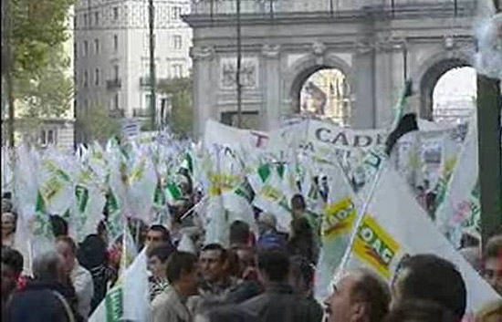 Miles de ganaderos y agricultores se han manifestado en el centro de Madrid
