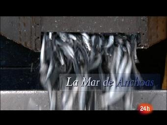 Cr&oacute;nicas - La mar de anchoas 