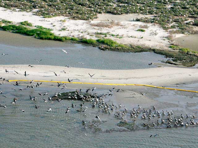La plataforma que se hundi&oacute; en el Golfo de M&eacute;xico suelta 800.000 litros de crudo al d&iacute;a