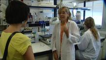 Margarida nos cuenta los problemas que tiene la reserva marina de Palamós Margarida nos cuenta los problemas que tiene la reserva marina de Palamós