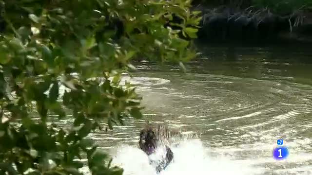 Coraz&oacute;n apasionado - Marielita salva a Ramiro en el r&iacute;o