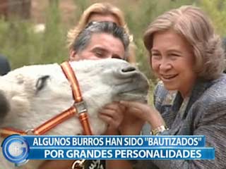 M�s Gente - La casa del burro peligra por la falta de fondos