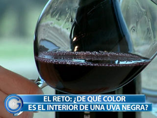 M�s Gente - M�s Cocina - Consejos para cuidar el vino