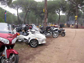 M�s Gente - Ping�inos 2012 concentra a 40.000 personas