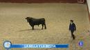 Ir al Video&nbsp;M&aacute;s Gente - Un toro bravo como mascota