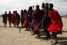 Guerreros de la tribu Masai en un baile tradicional Guerreros de la tribu Masai en un baile tradicional