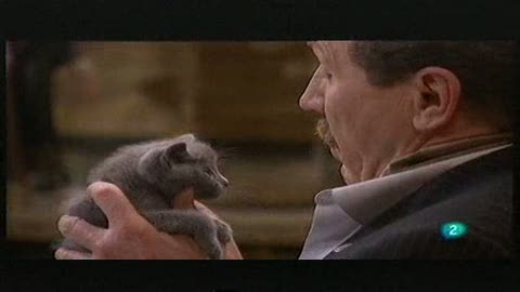 Ver v&iacute;deo  '"&iquest;Por qu&eacute; mataron al gatito?"'