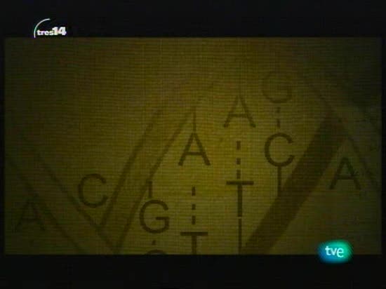 tres14 - Los mecanismos gen&eacute;ticos de la evoluci&oacute;n 