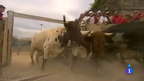 Ver v&iacute;deo  'Los mejores momentos del cuarto encierro de San Ferm&iacute;n 2012, de El Pilar'