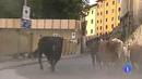 Ir al Video&nbsp;Los mejores momentos del &uacute;ltimo encierro de San Ferm&iacute;n 2012