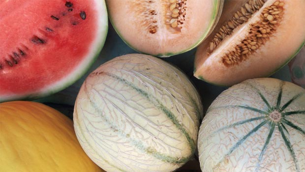 Melones y sand&iacute;as