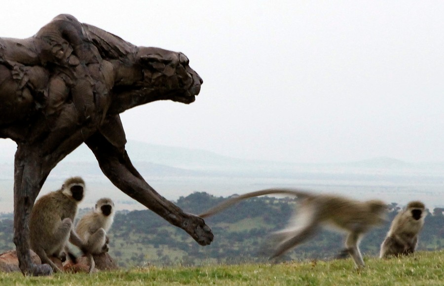 &iexcl;Es de mentira!