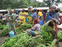 Mercado de fruta