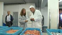 Los inspectores de la Agencia de Salud Publica de Cataluña realizan controles periódicos para analizar los valores de mercurio Los inspectores de la Agencia de Salud Publica de Cataluña realizan controles periódicos para analizar los valores de mercurio