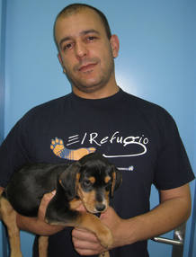 Un voluntario de El Refugio sostiene en brazos a un cachorro en adopci&oacute;n.