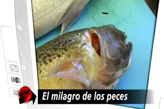 Repor - El milagro de los peces 