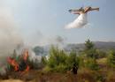 MILES DE EVACUADOS POR LA CERCAN&Iacute;A DE LAS LLAMAS A ATENAS