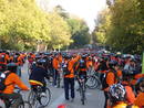 Miles de personas en un aut&eacute;ntico &eacute;xito de participaci&oacute;n.