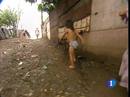 Ir al Video&nbsp;Miles de personas buscan comida en el vertedero de la Chureca