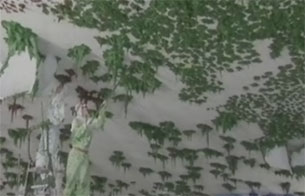 Ver v&iacute;deo  'Miquel Barcel&oacute; ha concluido su c&uacute;pula en la sede de la ONU en Ginebra'