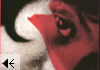 'La mirada republicana'