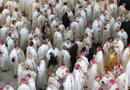 Los concelebrantes son cerca de 800 obispos, arzobispos y cardenales de todo el mundo, as&iacute; como unos 8.000 sacerdotes.
