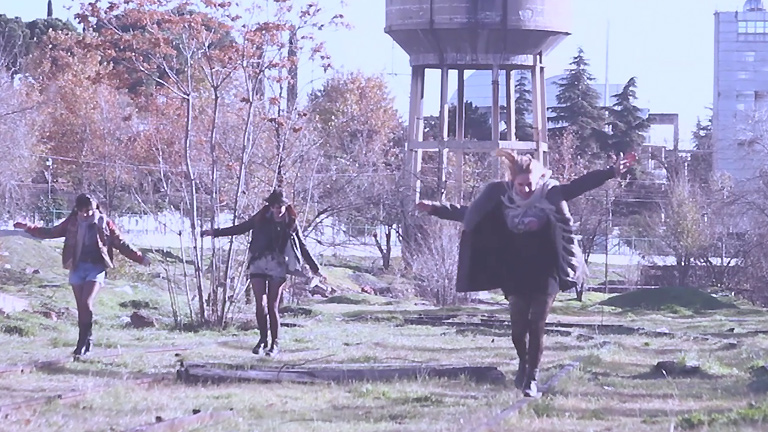 Modelo De Respuesta Polar - Estados de un salto