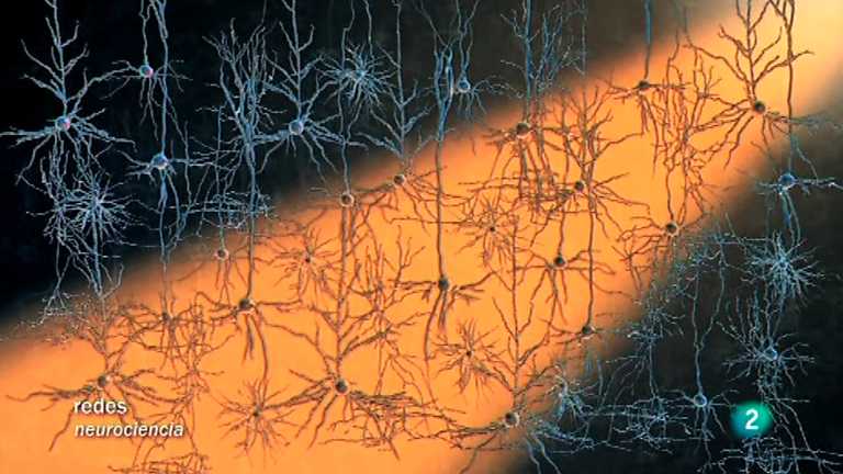 Redes - Modificar el cerebro con luz (V.O.)