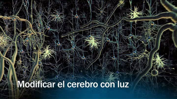 Redes - Modificar el cerebro con luz - presentaci&oacute;n