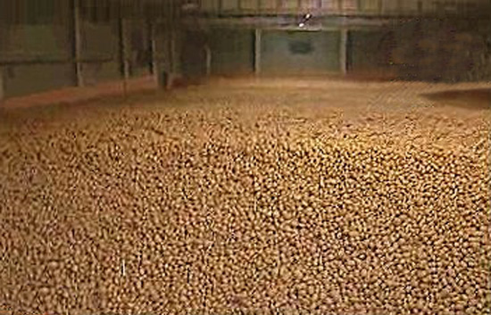 Espa&ntilde;a Directo - Monta&ntilde;as de patatas