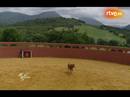 Ir al Video&nbsp;Motos de lidia