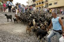 Muchos turistas y vecinos acuden a presenciar el ritual de purificación del ganado Muchos turistas y vecinos acuden a presenciar el ritual de purificación del ganado