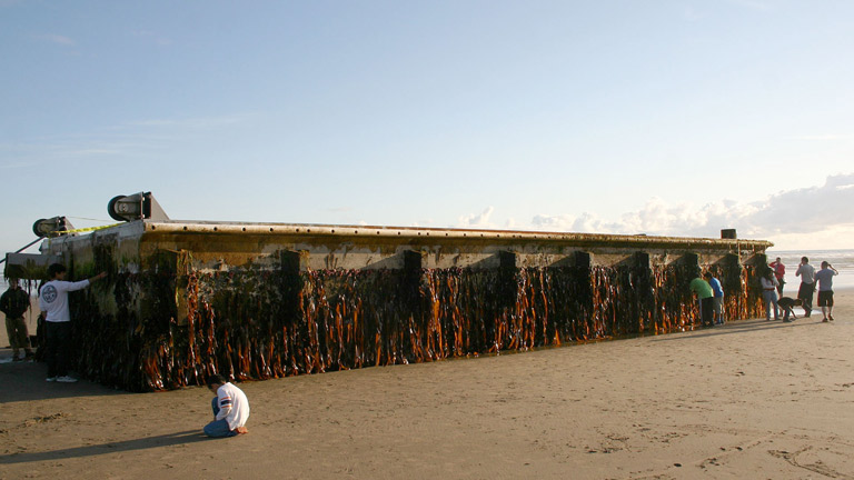 Un muelle arrasado por el tsunami recorre 8.000 kil&oacute;metros y aparece en las costas de Oreg&oacute;n