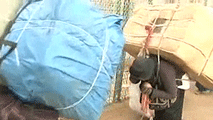 Ir al Video&nbsp;Las mujeres cargan 80 kilos de peso por cinco euros, entre Melilla y Marruecos
