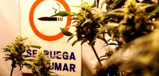 El presidente de Uruguay, Jos&eacute; Mujica, presenta el proyecto de ley para legalizar la marihuana este mi&eacute;rcoles.