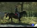 Ir al Video&nbsp;Multado un jinete con 500 euros por ir bebido a lomos de su caballo por la v&iacute;a p&uacute;blica