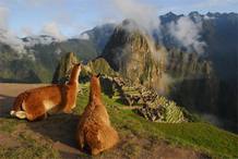 El Machu Pichu, a la vista de dos llamas andinos, forma parte de una de las expediciones de la serie Un mundo aparte