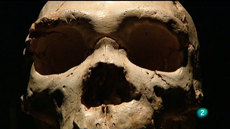 Extras DVD - Museo de la evoluci&oacute;n humana: memoria del futuro