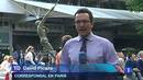 Ir al Video&nbsp;Nadal, otra vez en la final de Roland Garros