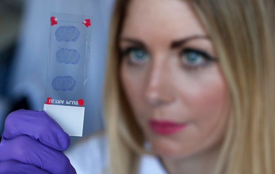 Nanomedicina cada vez m&aacute;s comercial