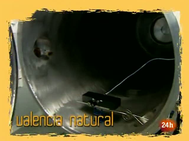 Ir al Video&nbsp;Natural - La luz que nos impide ver el cielo y los datos que no llegan v&iacute;a sat&eacute;lite...