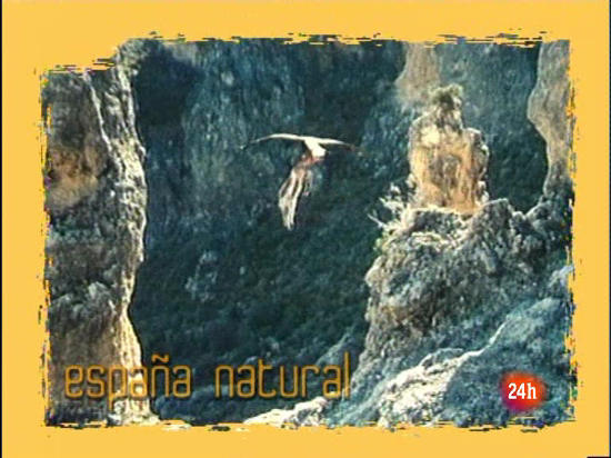 Ver v&iacute;deo  'Natural - Es m&aacute;s rentable luchar contra el cambio clim&aacute;tico que no hacerlo'
