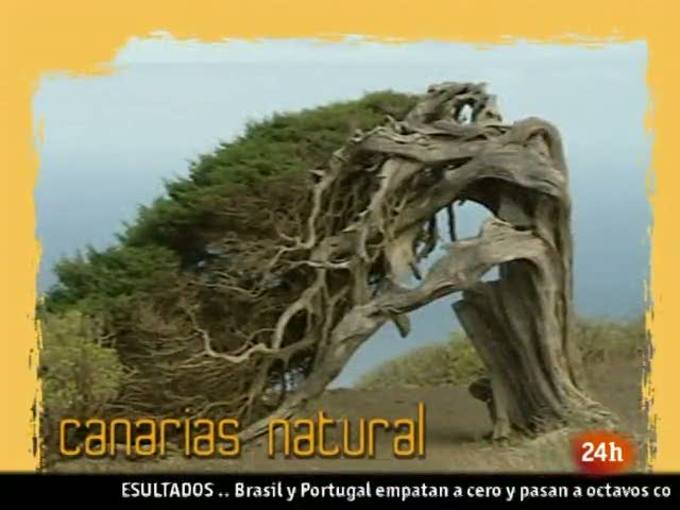 Ir al Video&nbsp;Natural - "Recicleta"