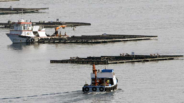 Fallece un pescador al naufragar su embarcaci&oacute;n en Muros, Galicia