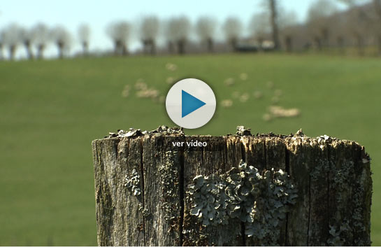 Navarra, grandes secretos en un peque&ntilde;o rinc&oacute;n